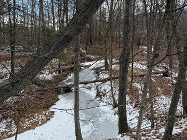 Land for sale in Sunbury, Pennsylvania