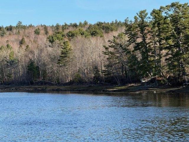 Land for sale in Surry, Maine