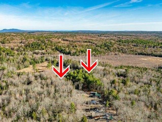 Land for sale in Surry, Hancock County