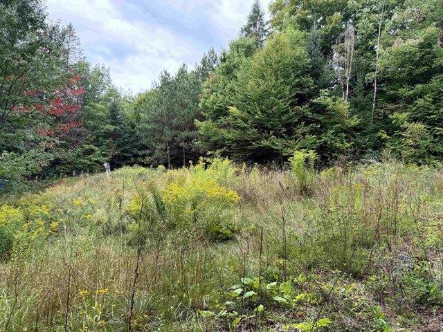 Land for sale in Sutton, Vermont