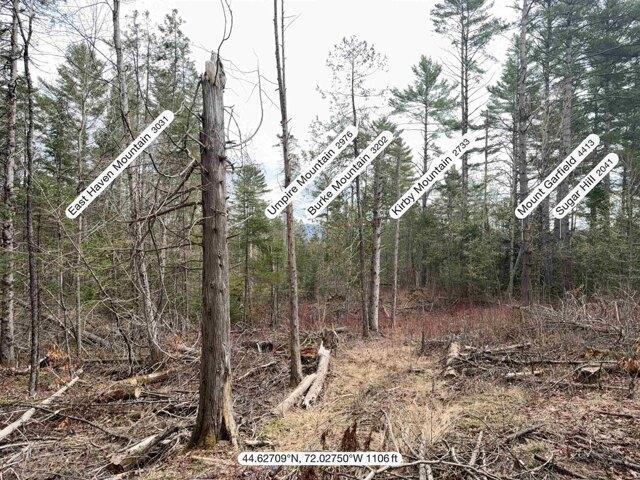 Land for sale in Sutton, Vermont