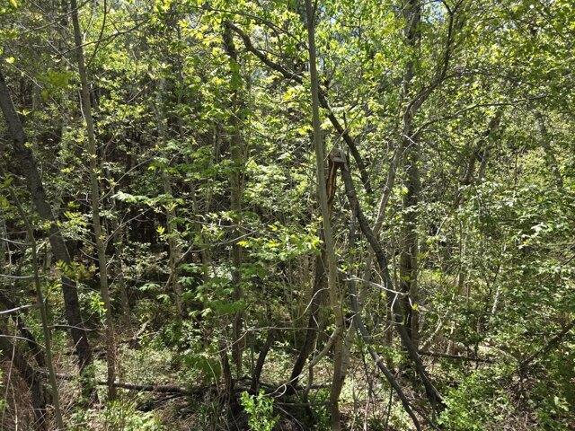 Land for sale in Waldo, Maine