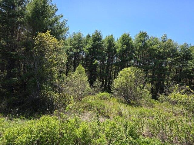 Land for sale in Waldo, Maine
