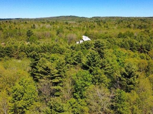Land for sale in Waldo, Maine