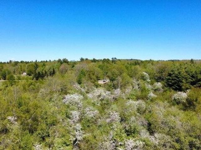 Land for sale in Waldo, Maine