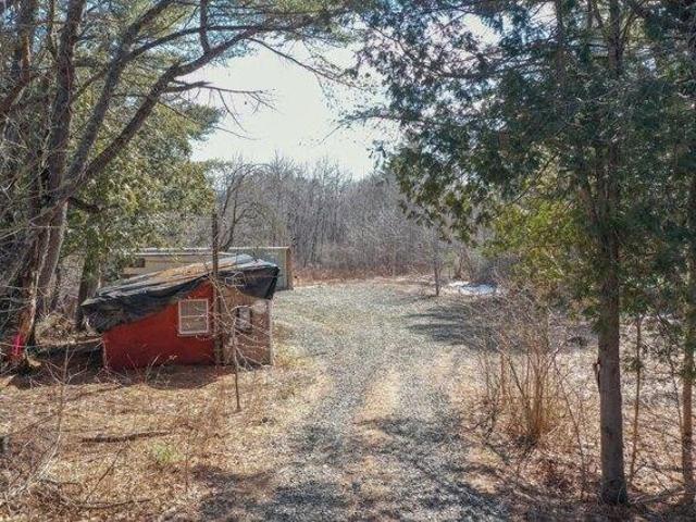 Land for sale in Waldo, Maine