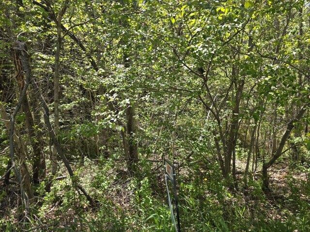 Land for sale in Waldo, Maine