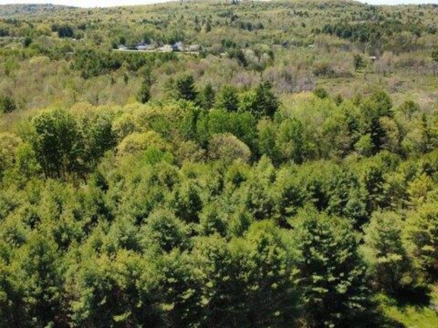 Land for sale in Waldo, Maine