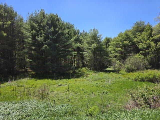 Land for sale in Waldo, Maine