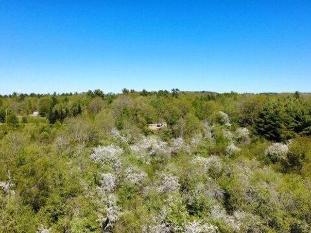 Land for sale in Waldo, Maine