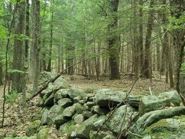 Land for sale in New Hampshire