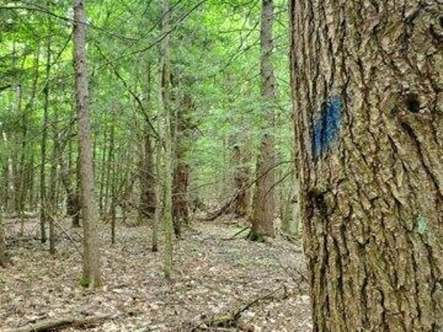 Land for sale in New Hampshire