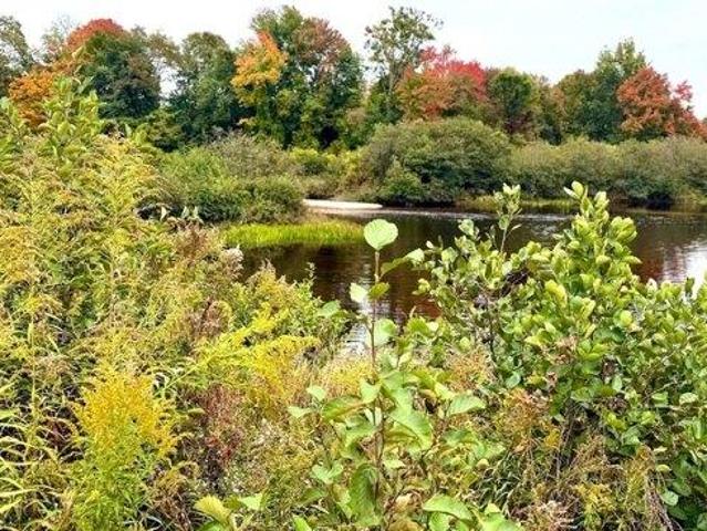 Land for sale in East Swanzey, Swanzey