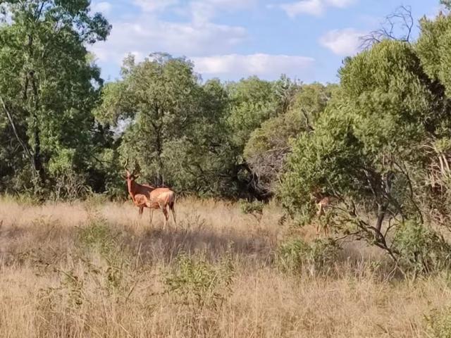 Land for sale in Swartruggens, Kgetleng River Local Municipality