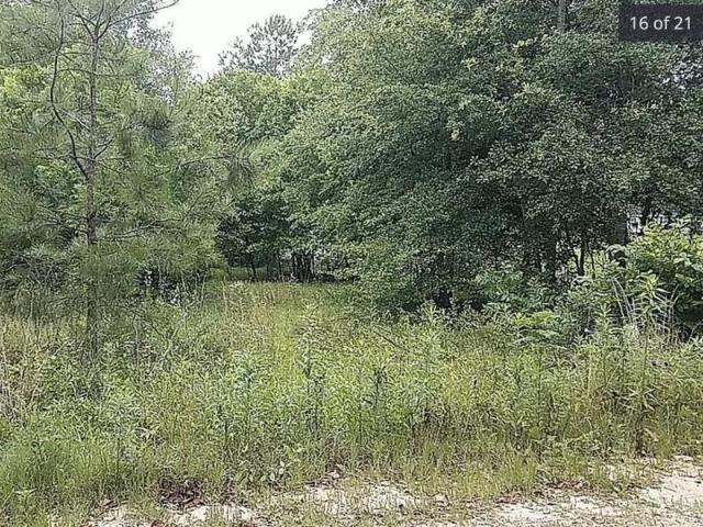 Land for sale in Worth, Georgia