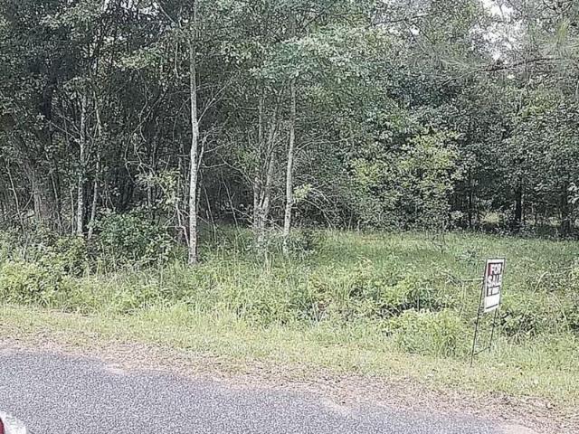 Land for sale in Worth, Georgia