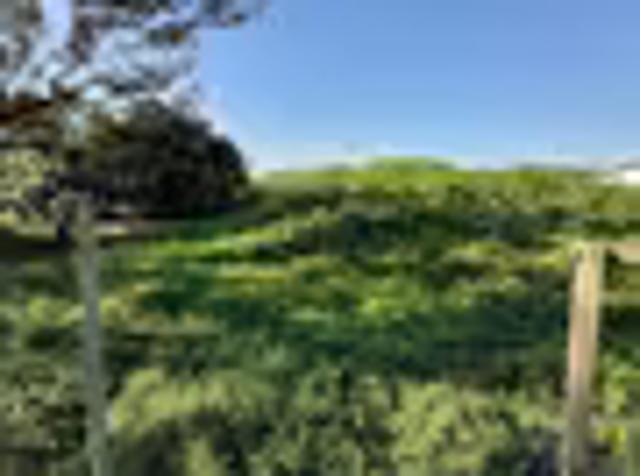 Land for sale
