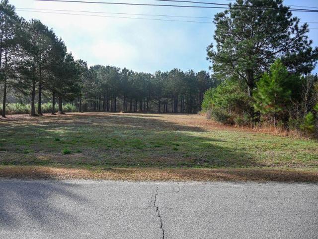 Land for sale in Clarendon, North Carolina