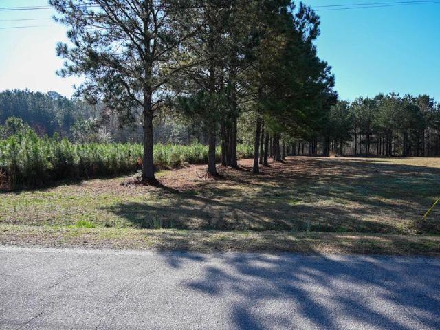 Land for sale in Clarendon, North Carolina