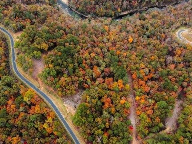Land for sale in Gilmer, Georgia