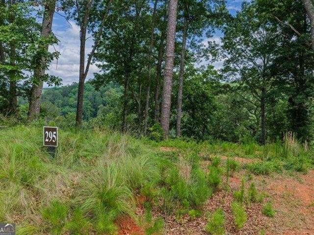 Land for sale in Gilmer, Georgia
