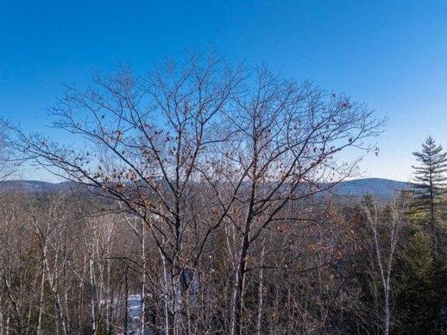 Land for sale in New Hampshire