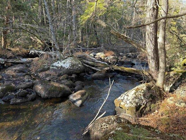 Land for sale in Tamworth, Carroll County