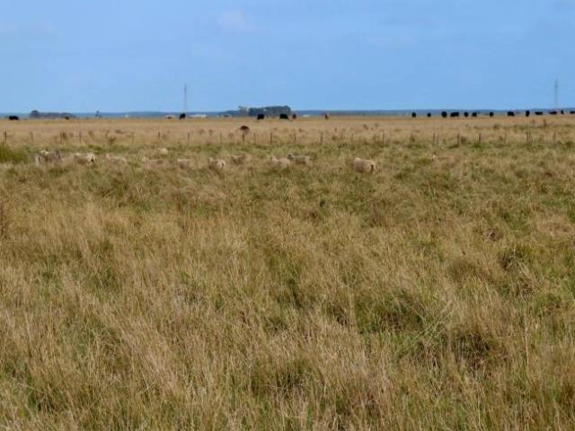 Land for rent in Tantanoola, South Australia