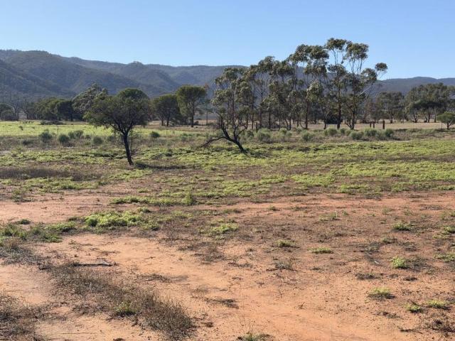 Land for sale in Telowie, South Australia