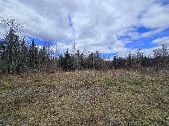 Land for sale in Temple, Maine
