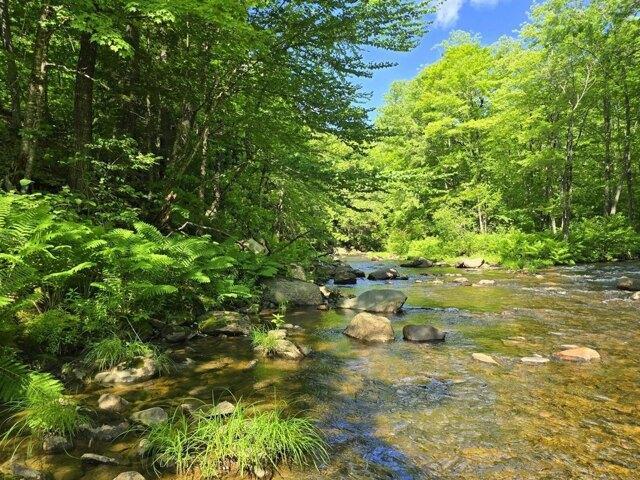 Land for sale in Wilton, Maine