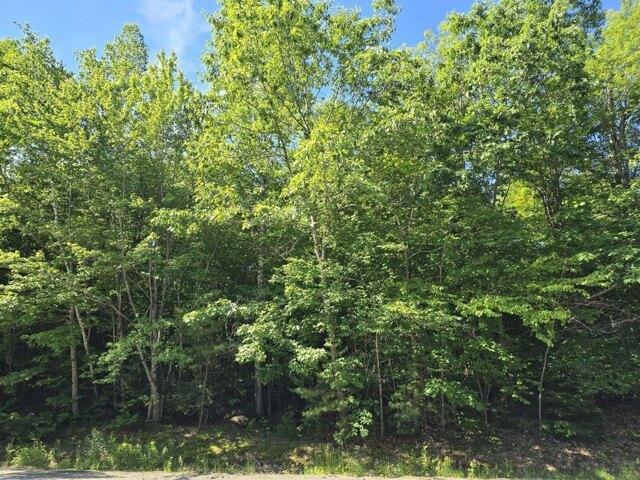 Land for sale in Wilton, Maine