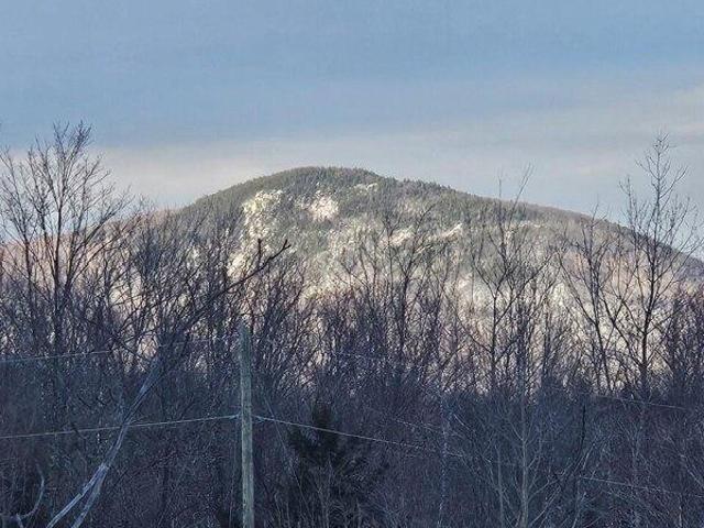 Land for sale in Temple, Maine