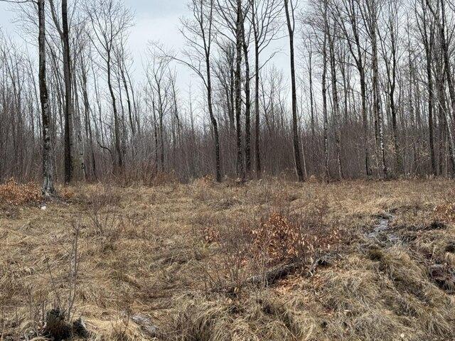 Land for sale in Temple, Maine