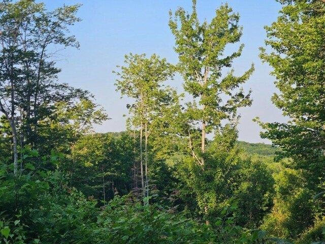 Land for sale in Temple, Maine