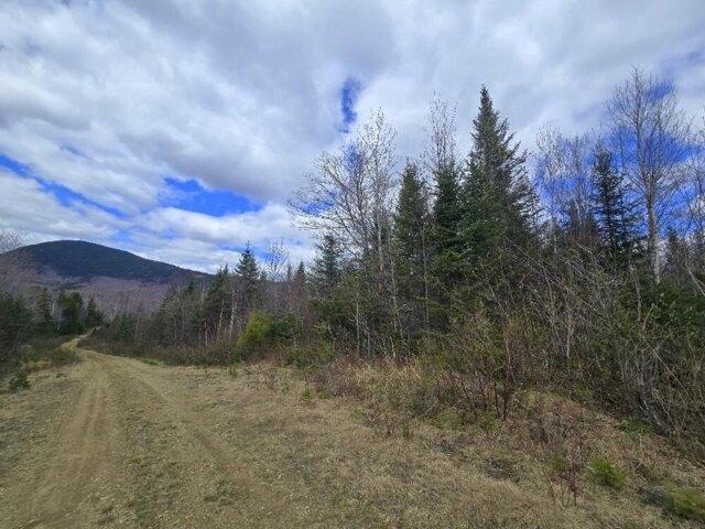 Land for sale in Temple, Maine