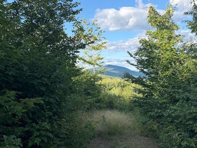 Land for sale in Temple, Maine