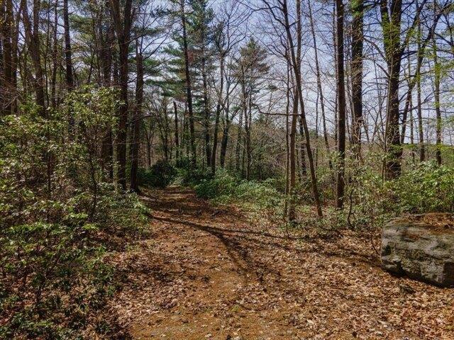 Land for sale in New Hampshire