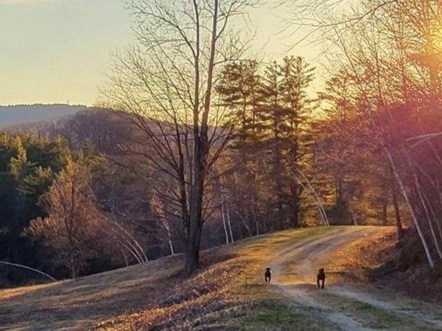Land for sale in New Hampshire