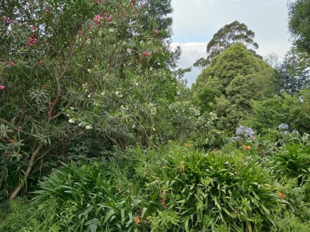 Land for sale in Camerons Creek, Victoria