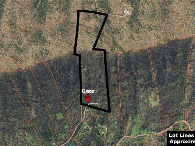Land for sale in Thorn Hill, Tennessee