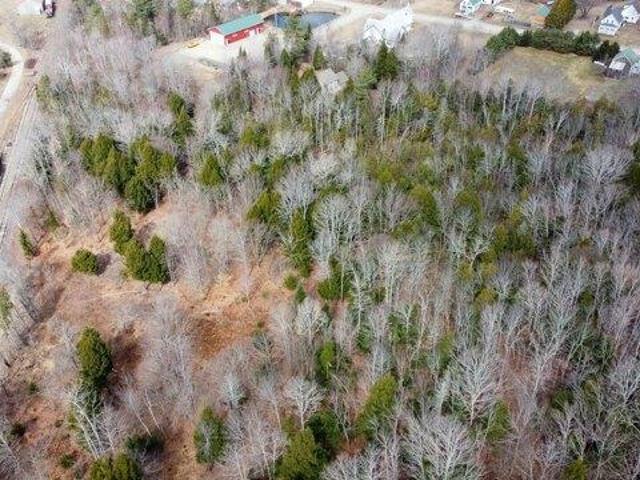 Land for sale in Waldo, Maine