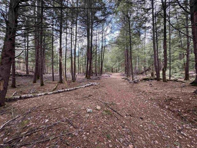 Land for sale in New Hampshire