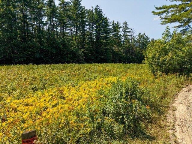 Land for sale in New Hampshire
