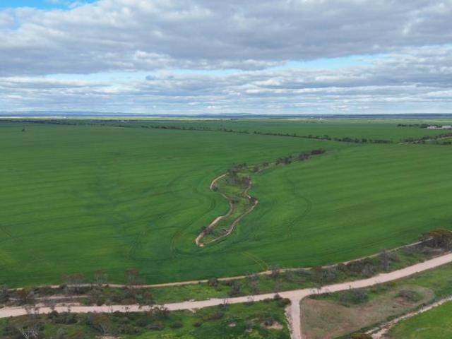 Land for sale in Tickera, Alford