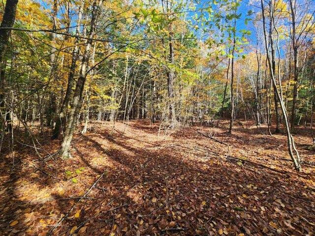 Land for sale in New Hampshire