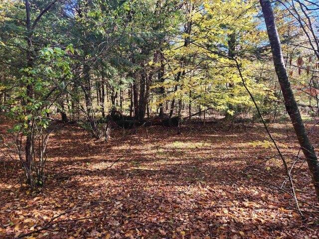 Land for sale in New Hampshire
