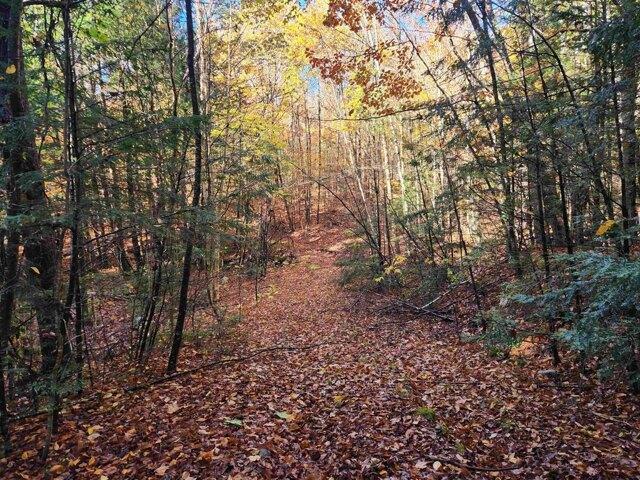 Land for sale in New Hampshire