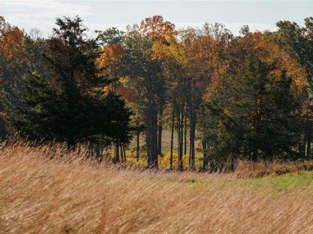 Land for sale in Tivoli, New York