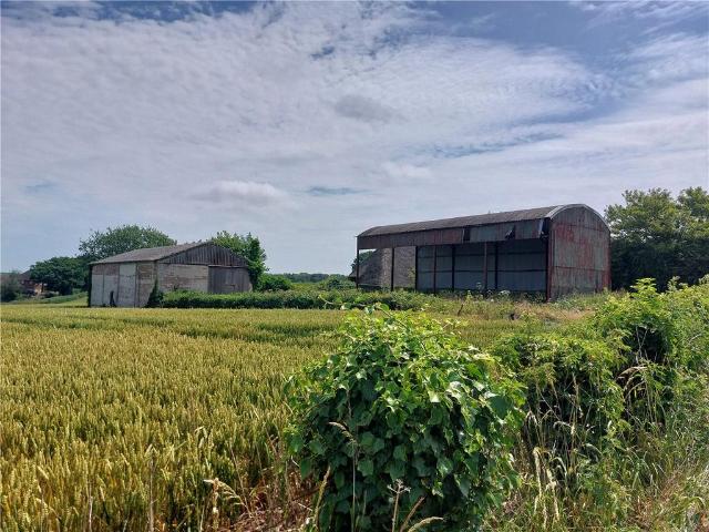 Land for rent in Stalisfield Green, Oad Street